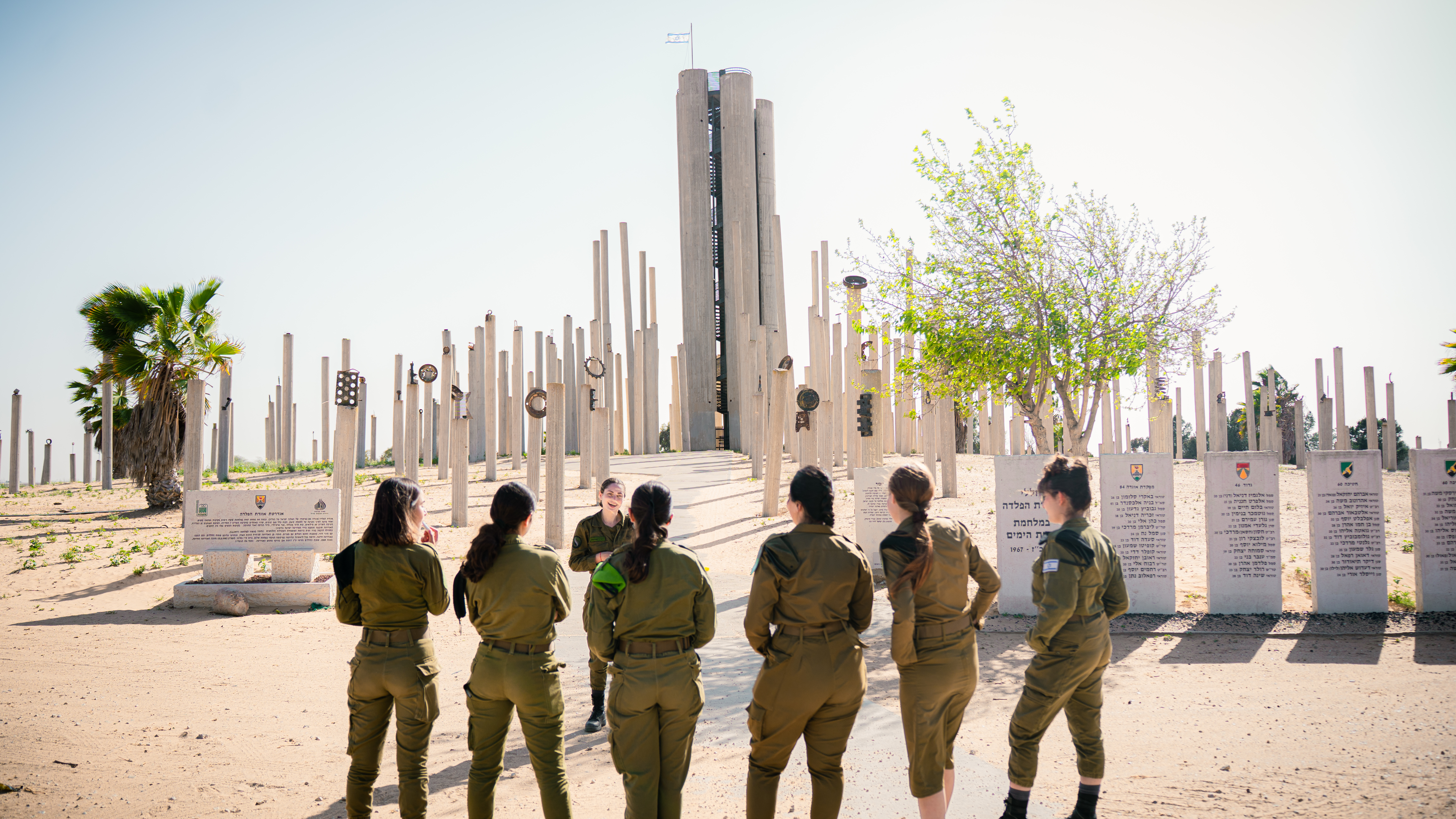 תמונה 1